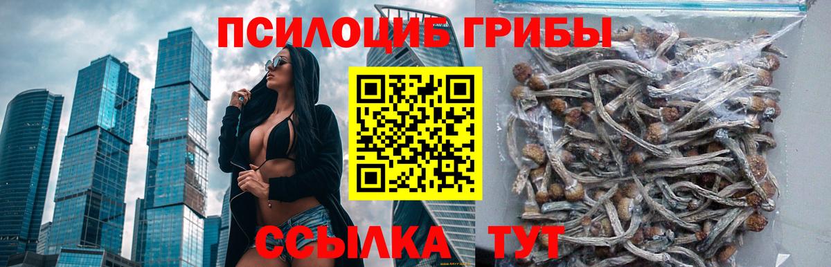 Псилоцибиновые грибы Magic Shrooms Анжеро-Судженск