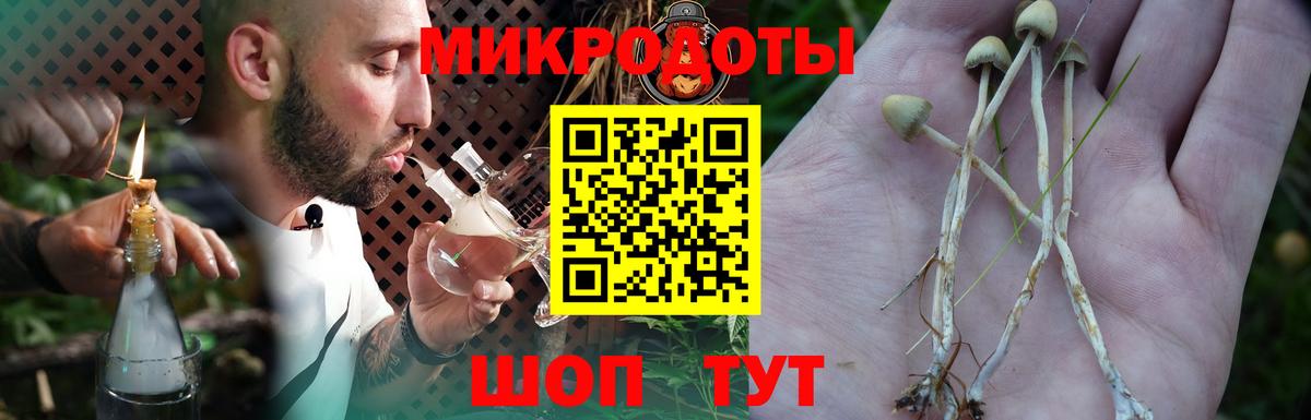 Галлюциногенные грибы Magic Shrooms  Вход с VPN  Галлюциногенные грибы MAGIC MUSHROOMS  Анжеро-Судженск 
